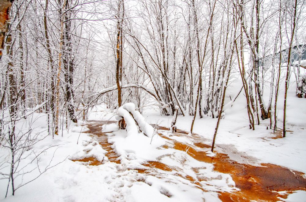 Рыжие реки укутались снегом