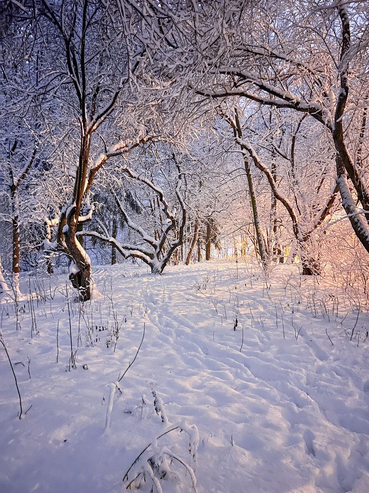Photograph by Шувалова Мария