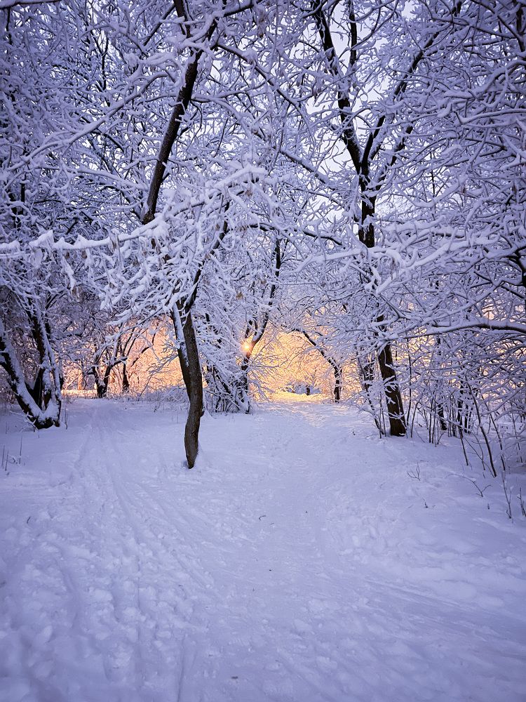Photograph by Шувалова Мария