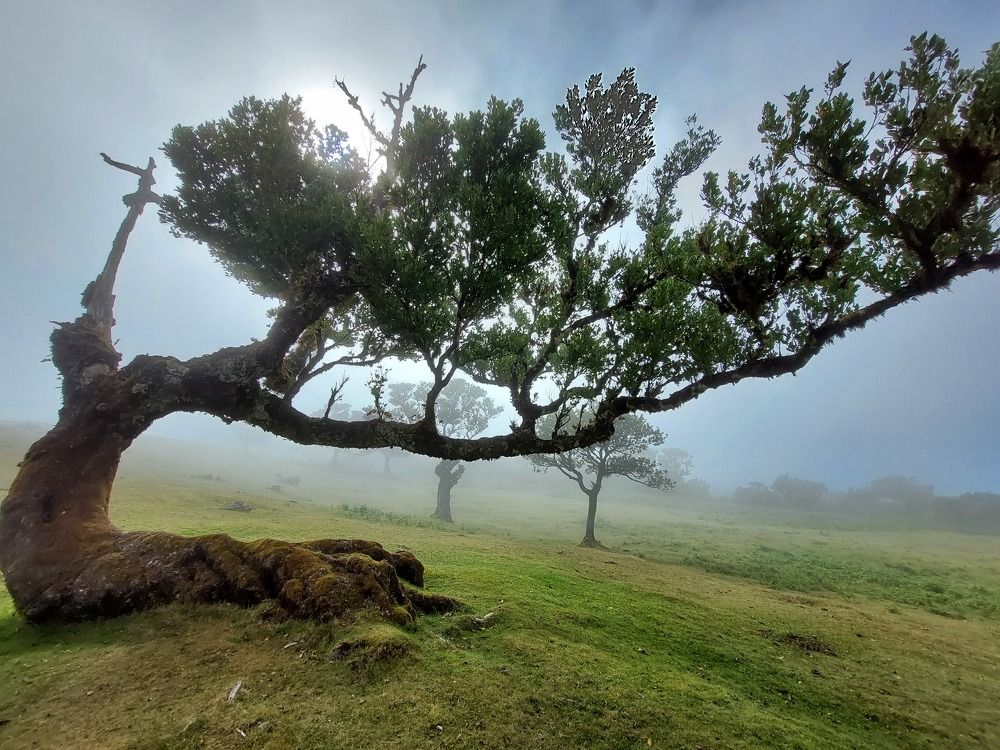 Photograph by Christian Pfister