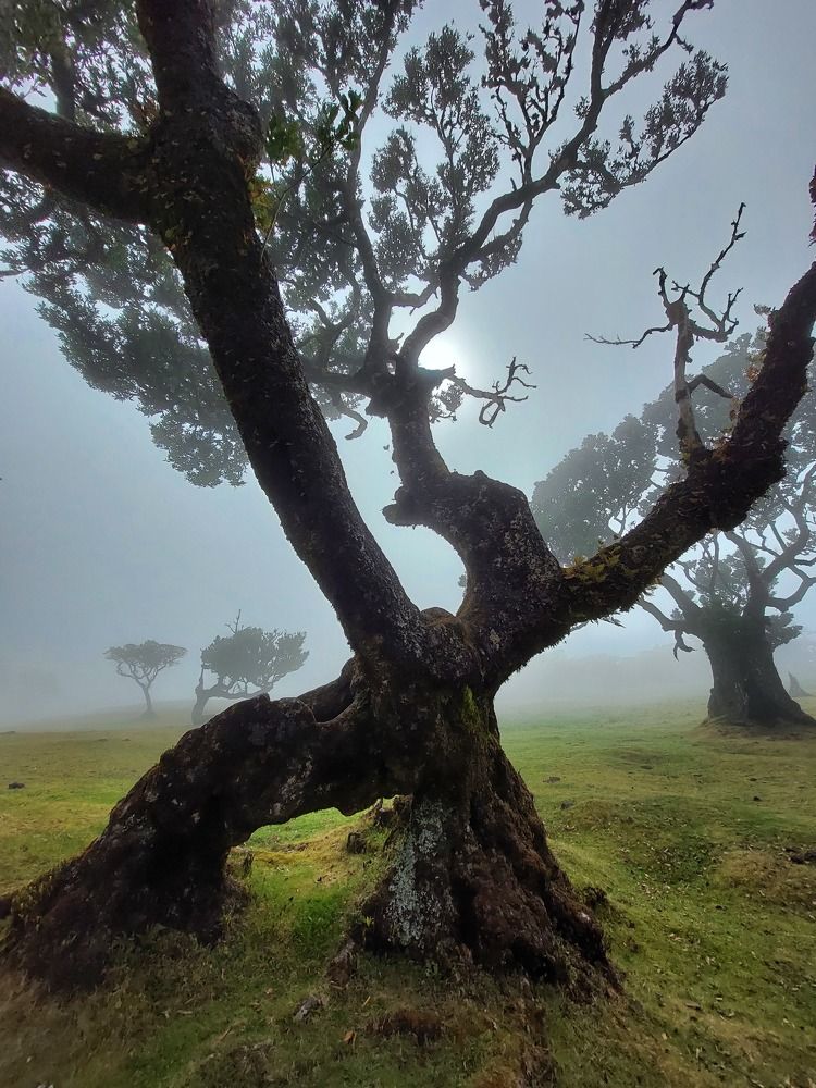 Photo #6891737