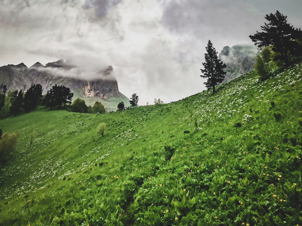 Фотография автора OXANA MARSOVA