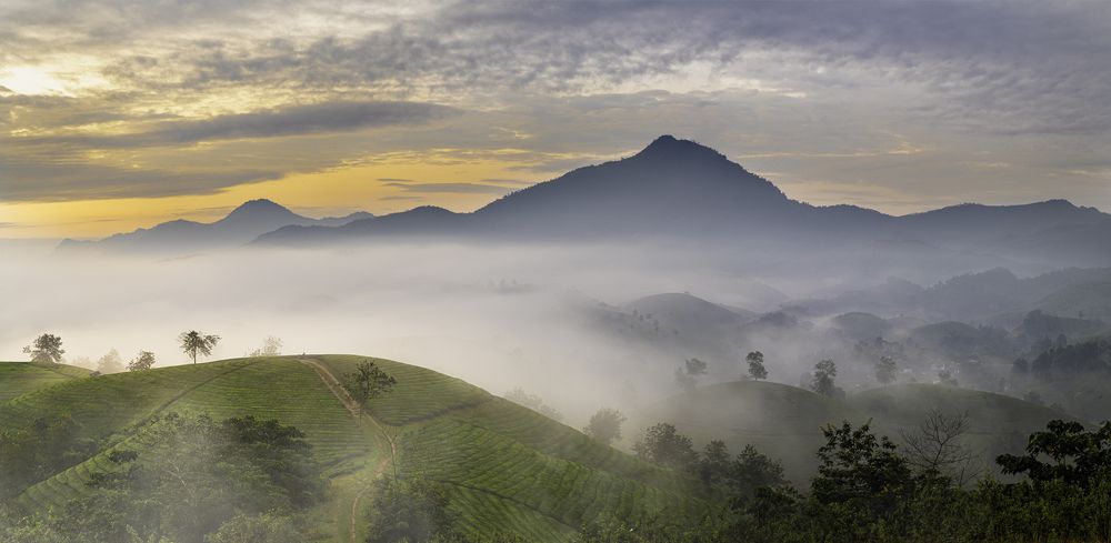 Photograph by Sắc Thừa