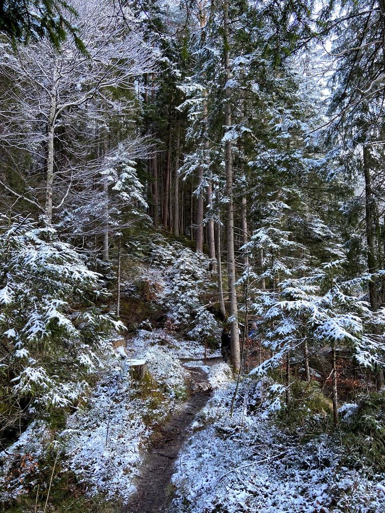 Photograph by Mariia Lukonina