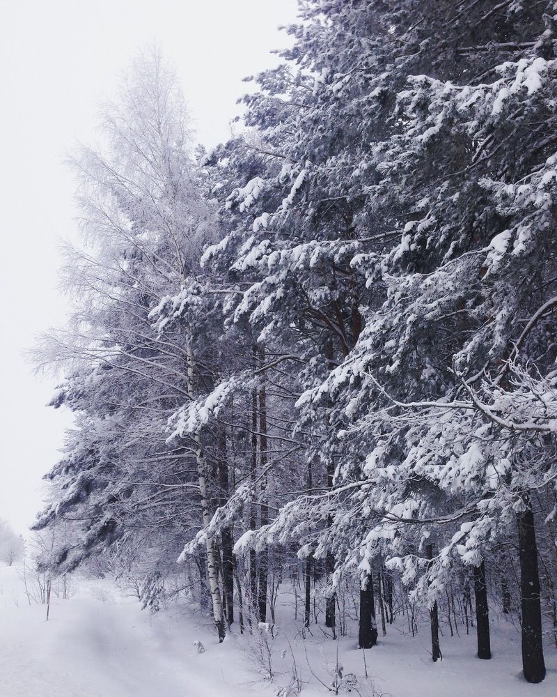 Photograph by Mariia Lukonina