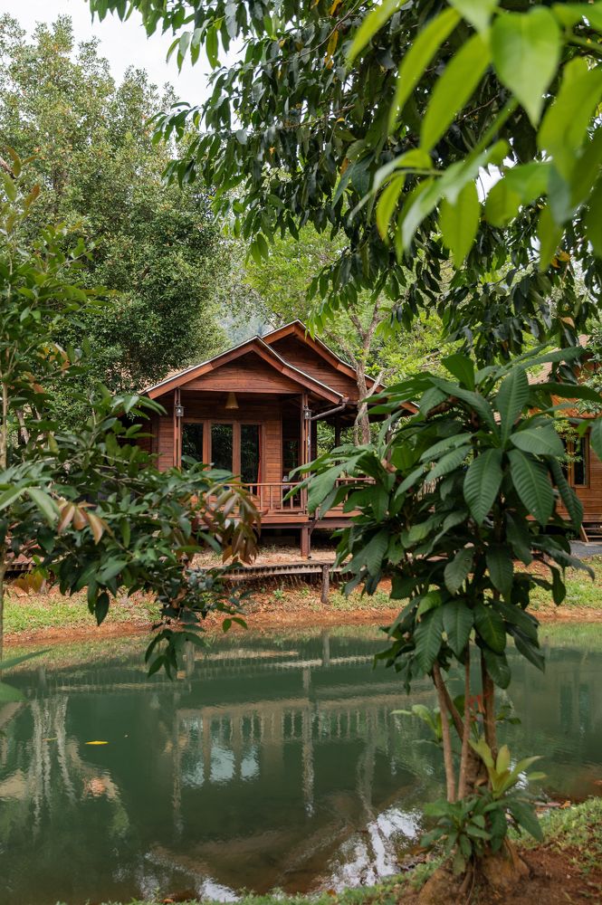 Photograph by Вероника Стома