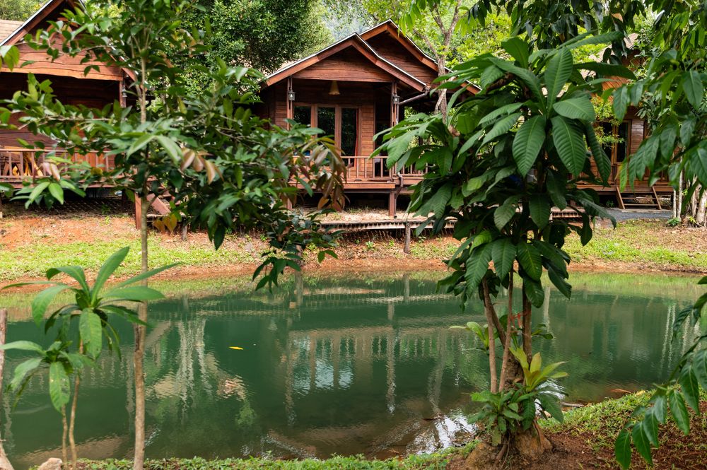 Photograph by Вероника Стома