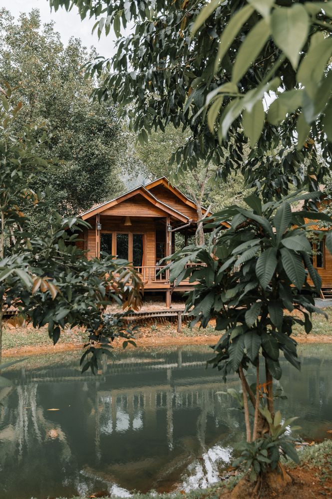 Photograph by Вероника Стома