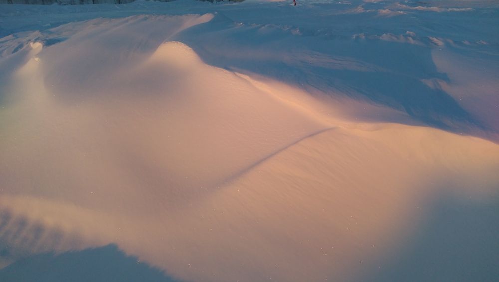 Photograph by СТЕПАН ДЖУЛАКИДЗЕ