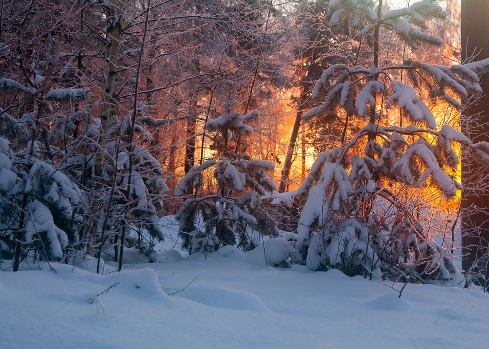 Photograph by Ершов Сергей