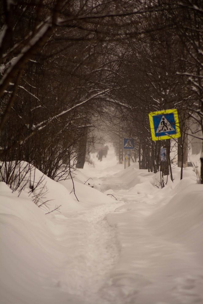 Photograph by Елена Клочкова