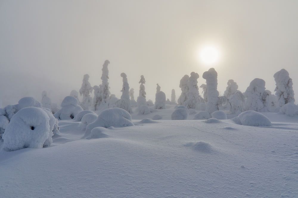 Photograph by Александр Авдушев