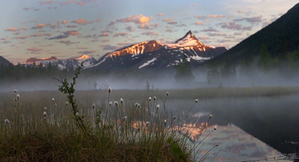 Photograph by Елена