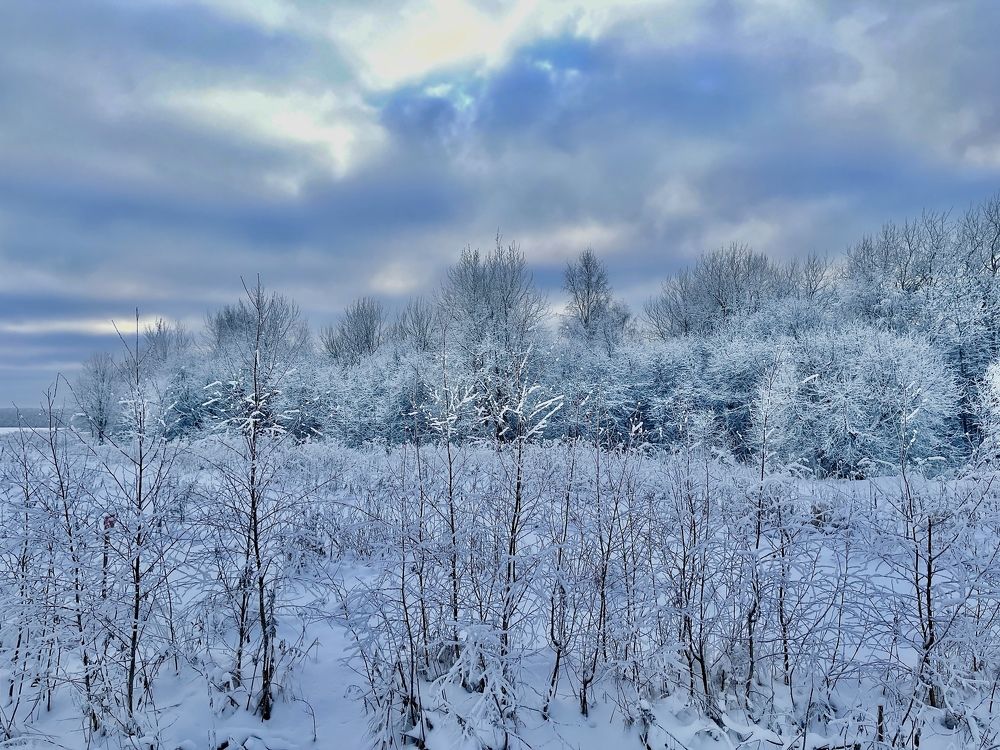 Photograph by Григорий Лыжин