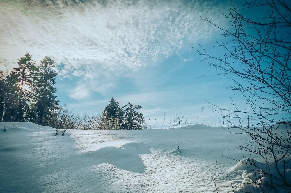 Фотография автора OXANA MARSOVA