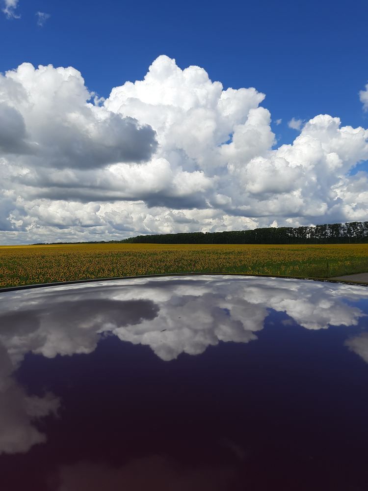 Photograph by Алик Хасанов