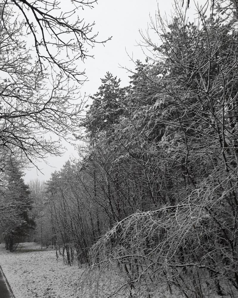 Photograph by Юрий Хадыка