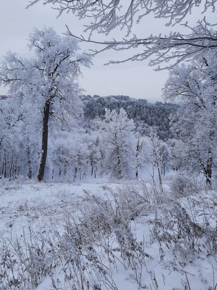 Photograph by Алик Хасанов