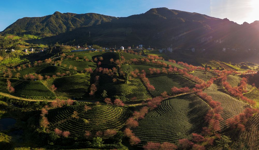 Photograph by Anh Tuấn Trần