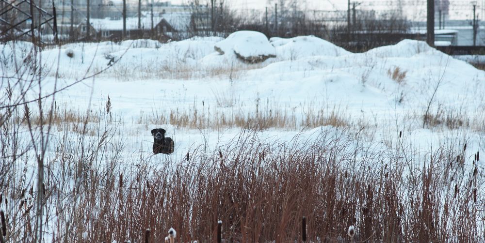 Photograph by Anastasia Kodatenko