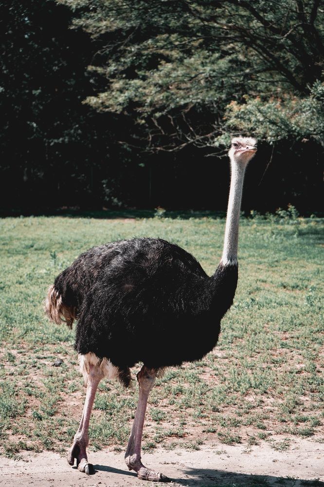 Photograph by Ekaterina Sukhanova