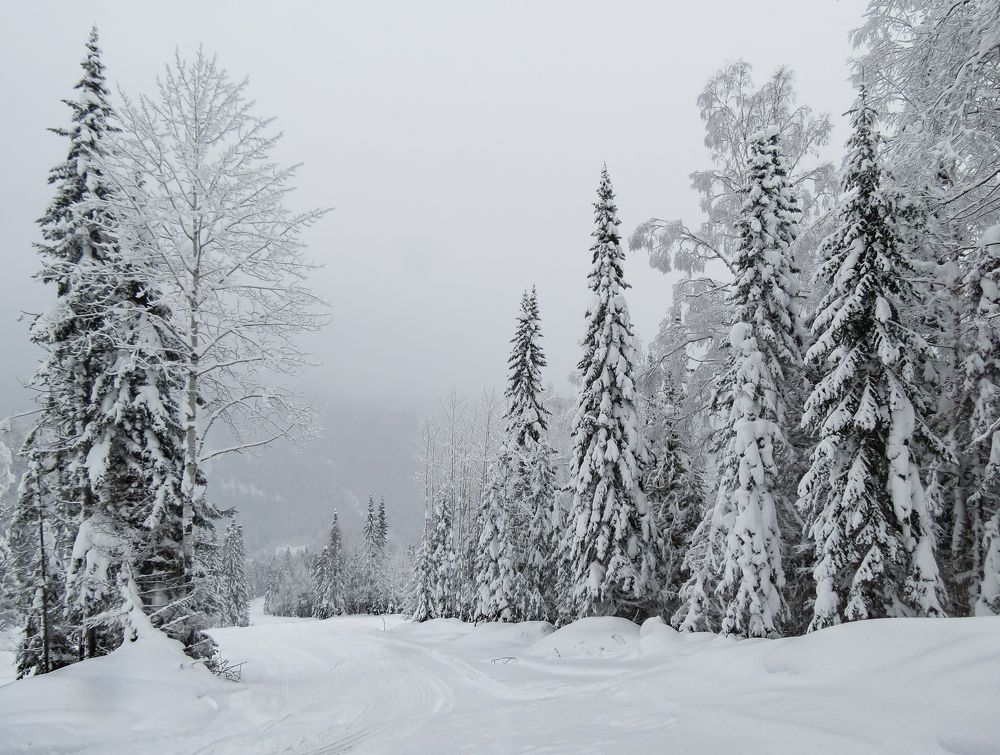 Photograph by Марина Новожилова