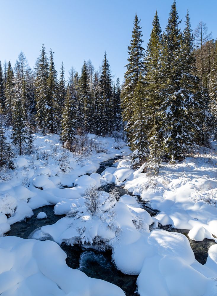 Photograph by Марина Новожилова