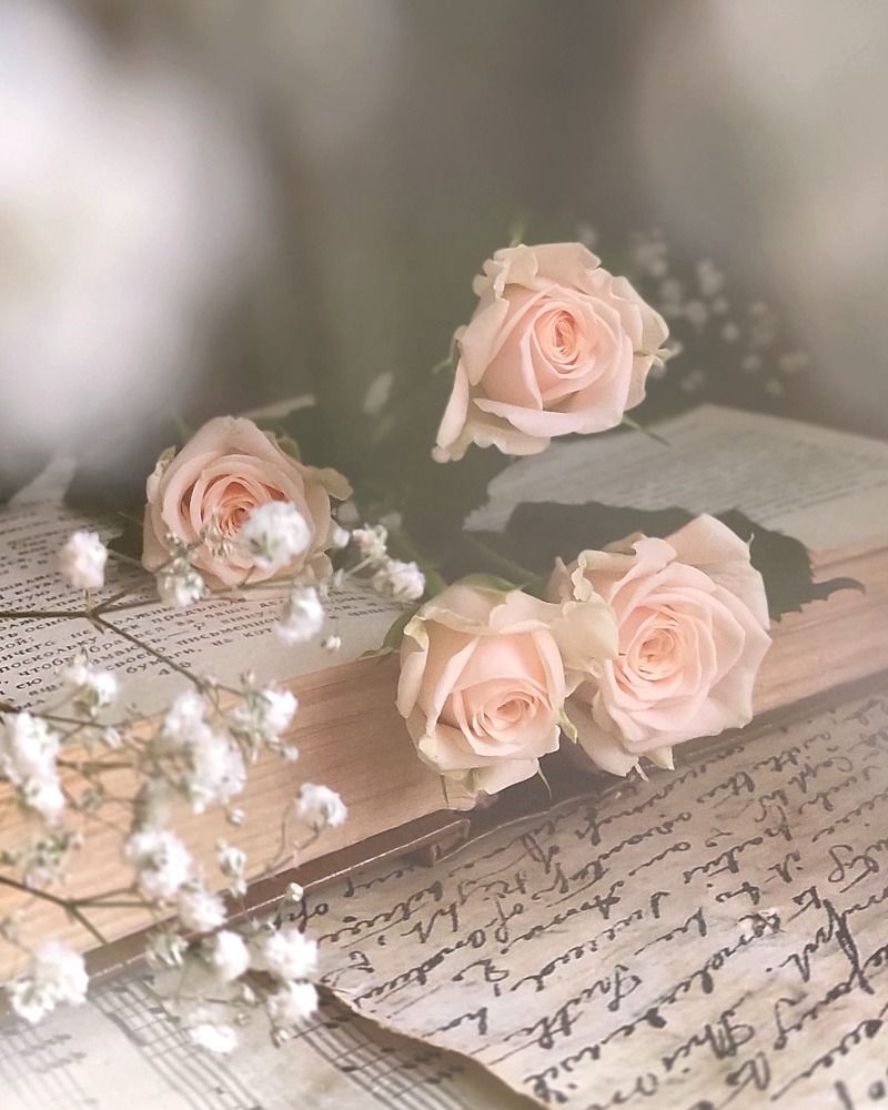 Photograph by Helen Ka