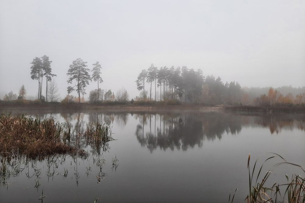 Photograph by Михаил Рассказ