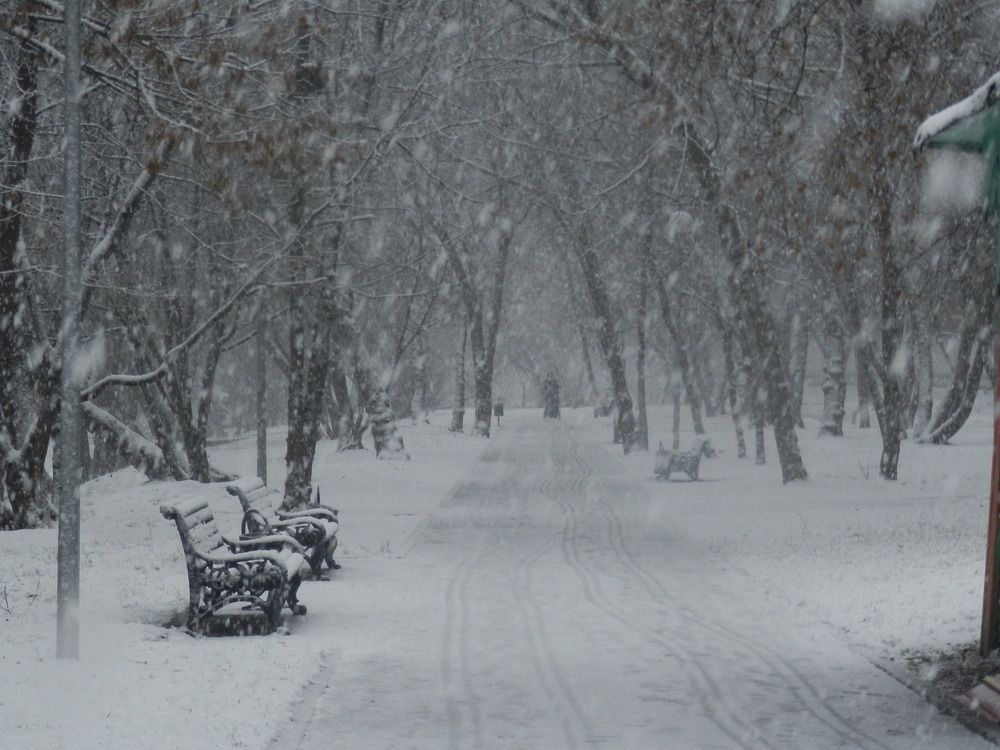 Photograph by Наталия Калюкина