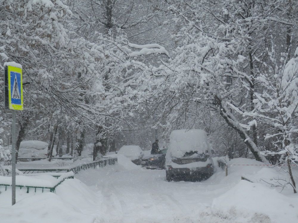 Photograph by Наталия Калюкина