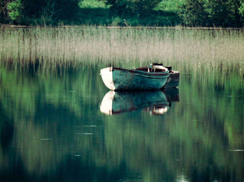 Photograph by Антон Щелкунов