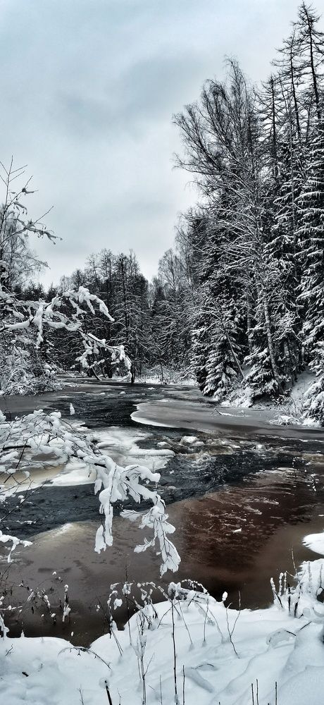 Photograph by Елена Акимова