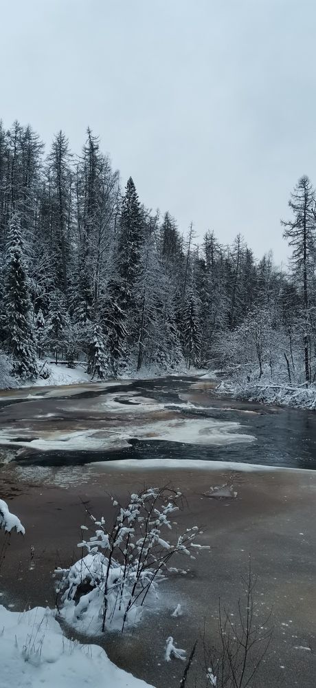 Photograph by Елена Акимова