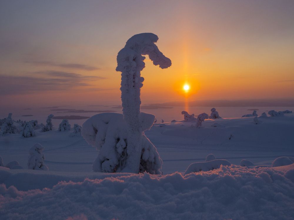 Photograph by Артем