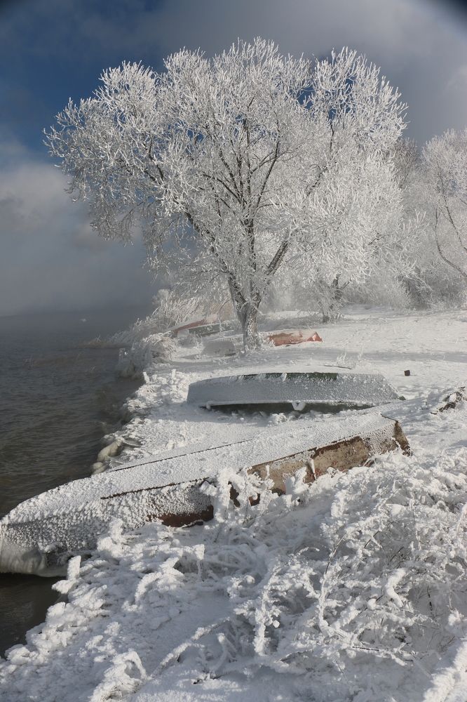 Photograph by Анна Татаренко