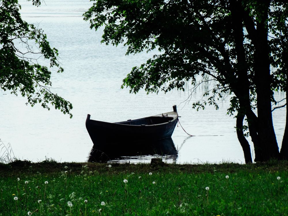 Photograph by Антон Щелкунов