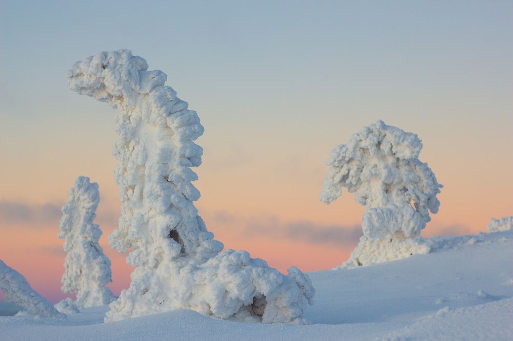 Photograph by Артем