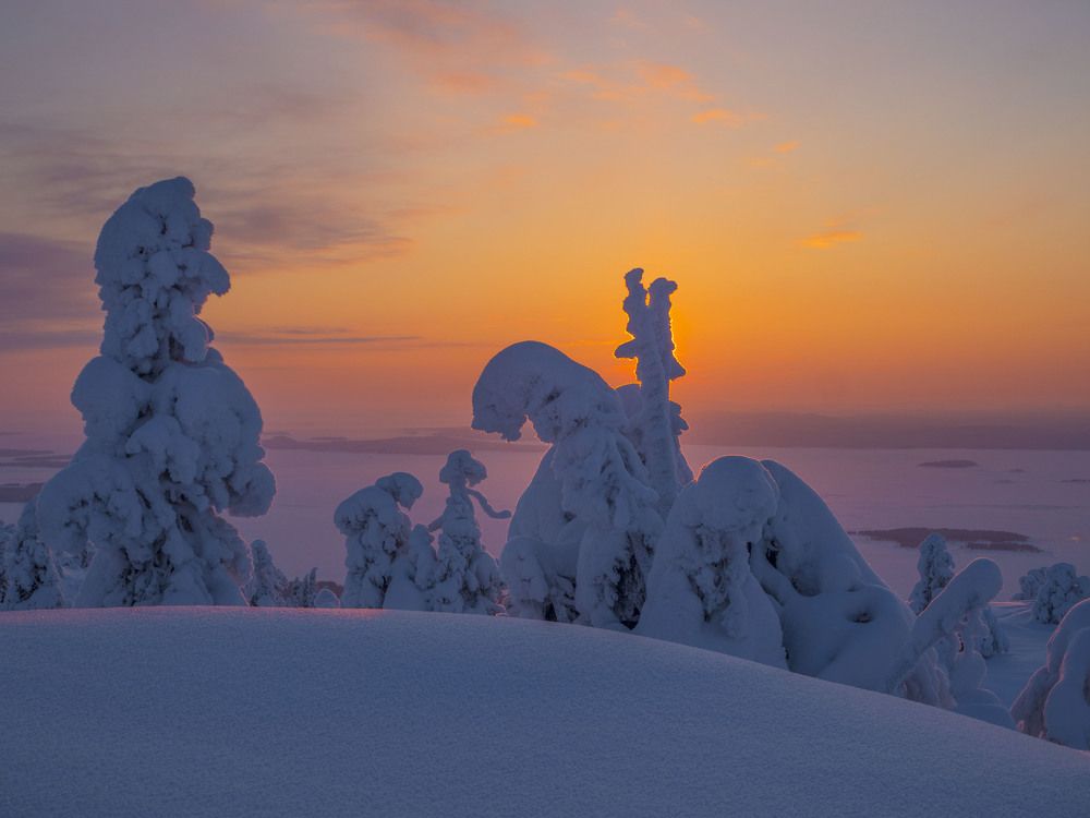 Photograph by Артем