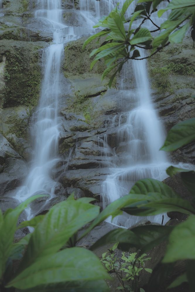 Photograph by Tharindu k