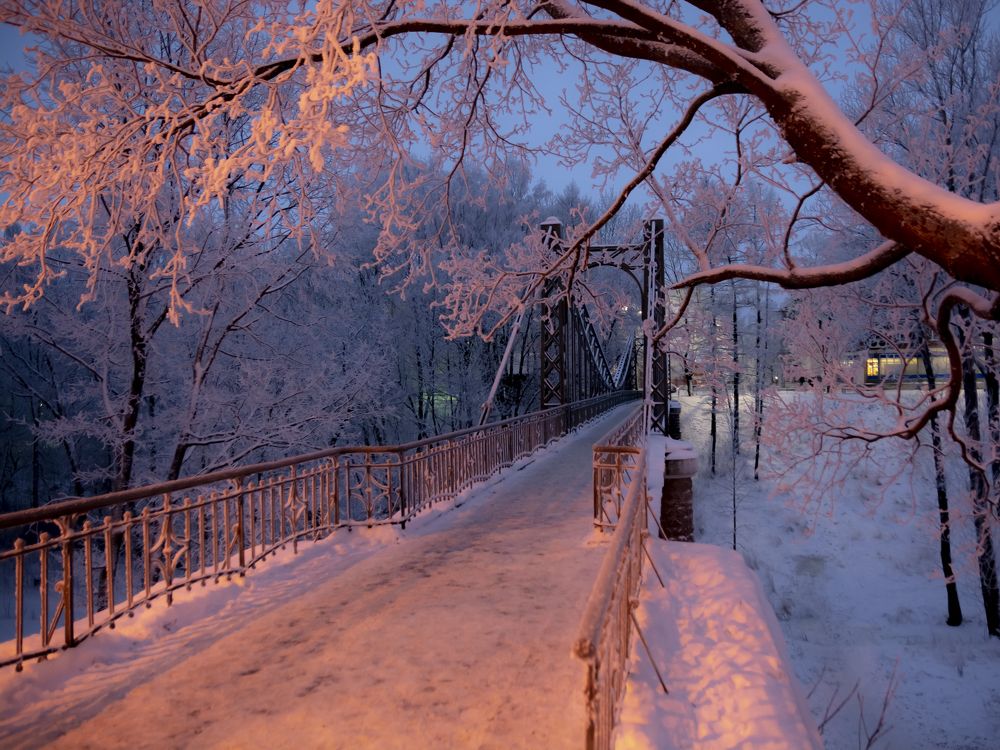 Photograph by Шутов Владимир