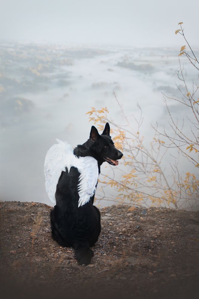 Photograph by Anna Zhidkova