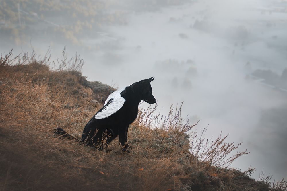 Photograph by Anna Zhidkova