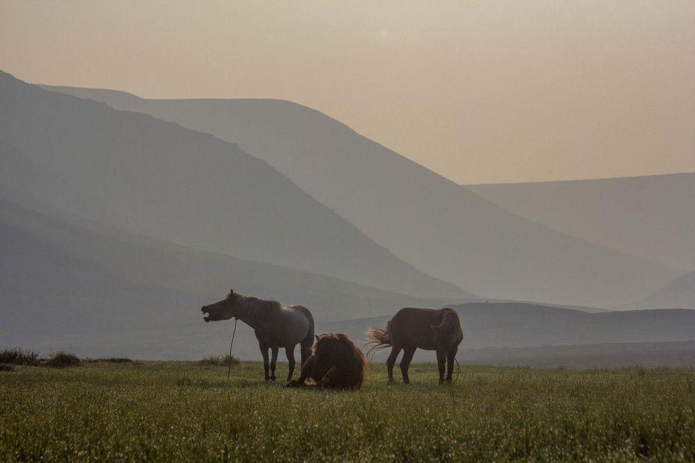 Photograph by Елена