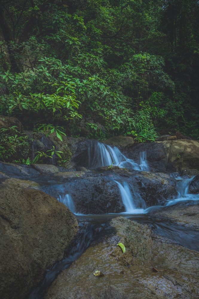 Photograph by Tharindu k