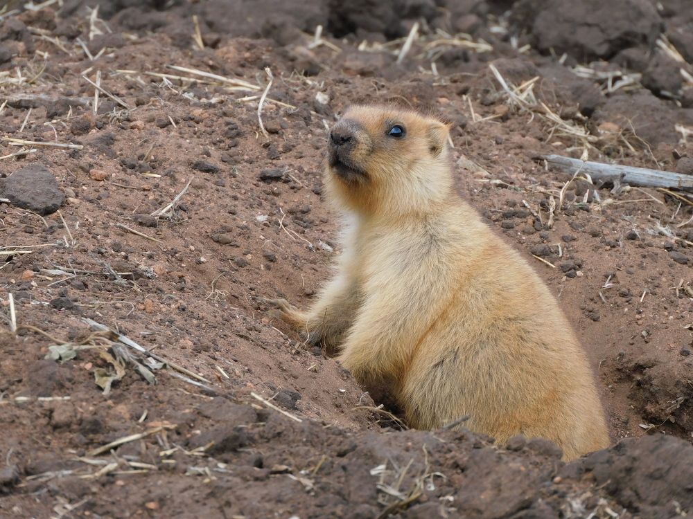 Photograph by Артур