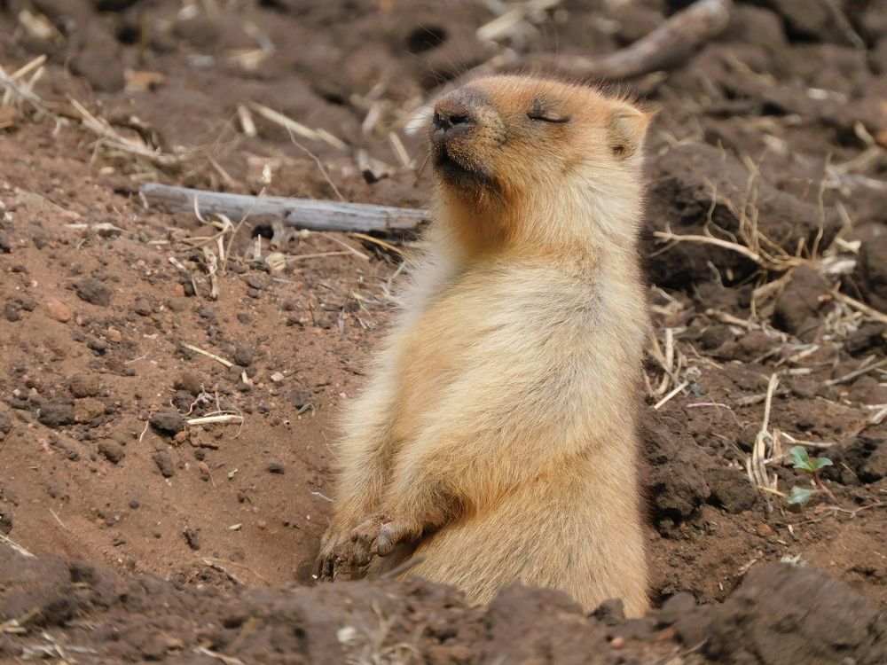 Photograph by Артур