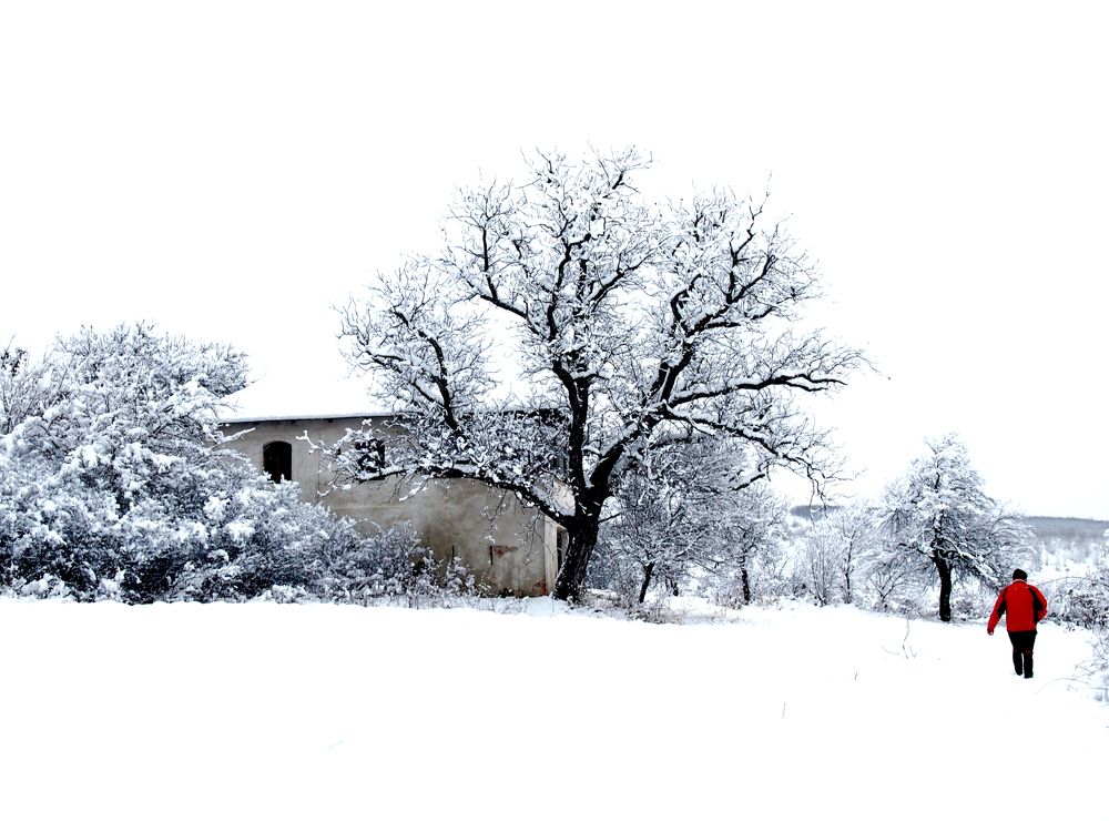 Photograph by Irina Magdalena Bivolaru