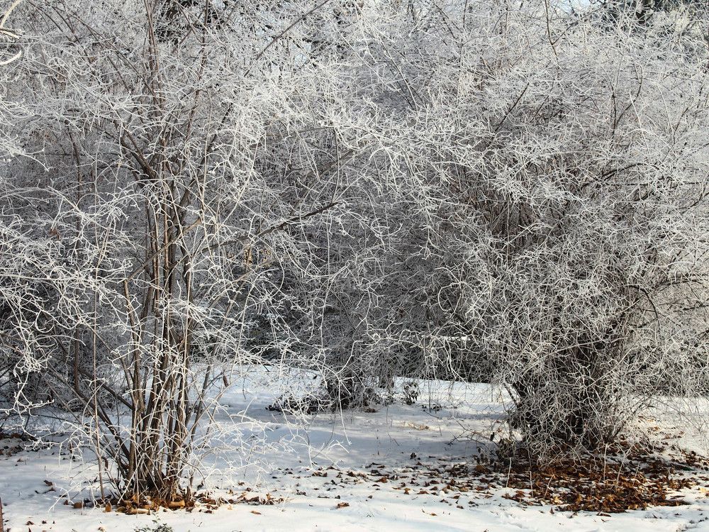 Photograph by Irina Magdalena Bivolaru