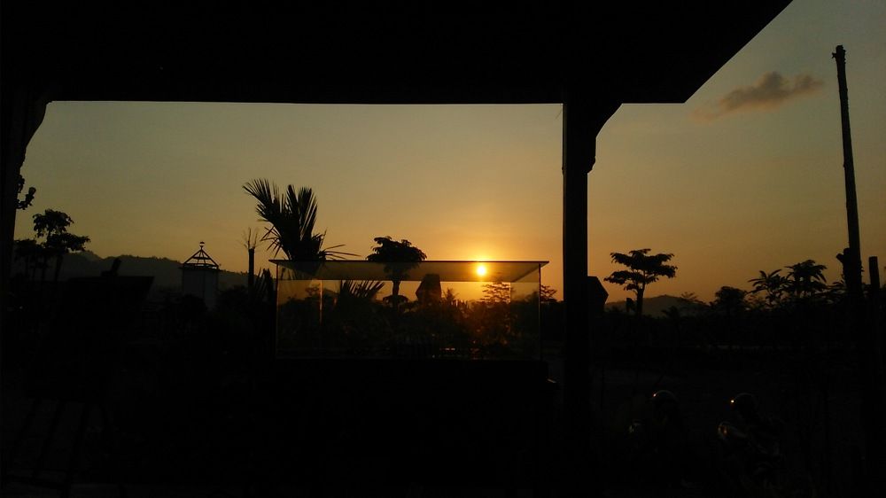 Sun go down in aquarium